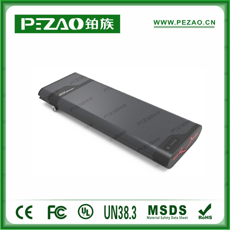 鉑族動力電池 電動車電池PZ-ZX028