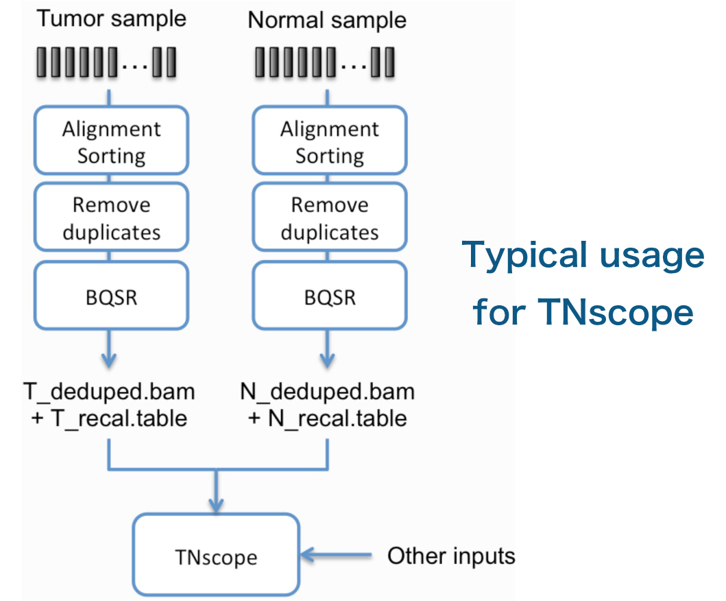 Sentieon TNscope应用流程