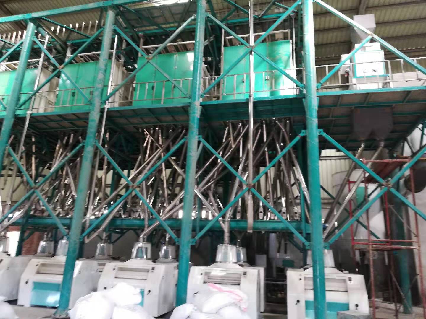 150t wheat flour milling line for quality wheat flour