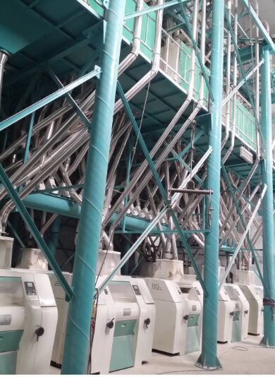 120T Wheat Flour Milling in Zimbabwe