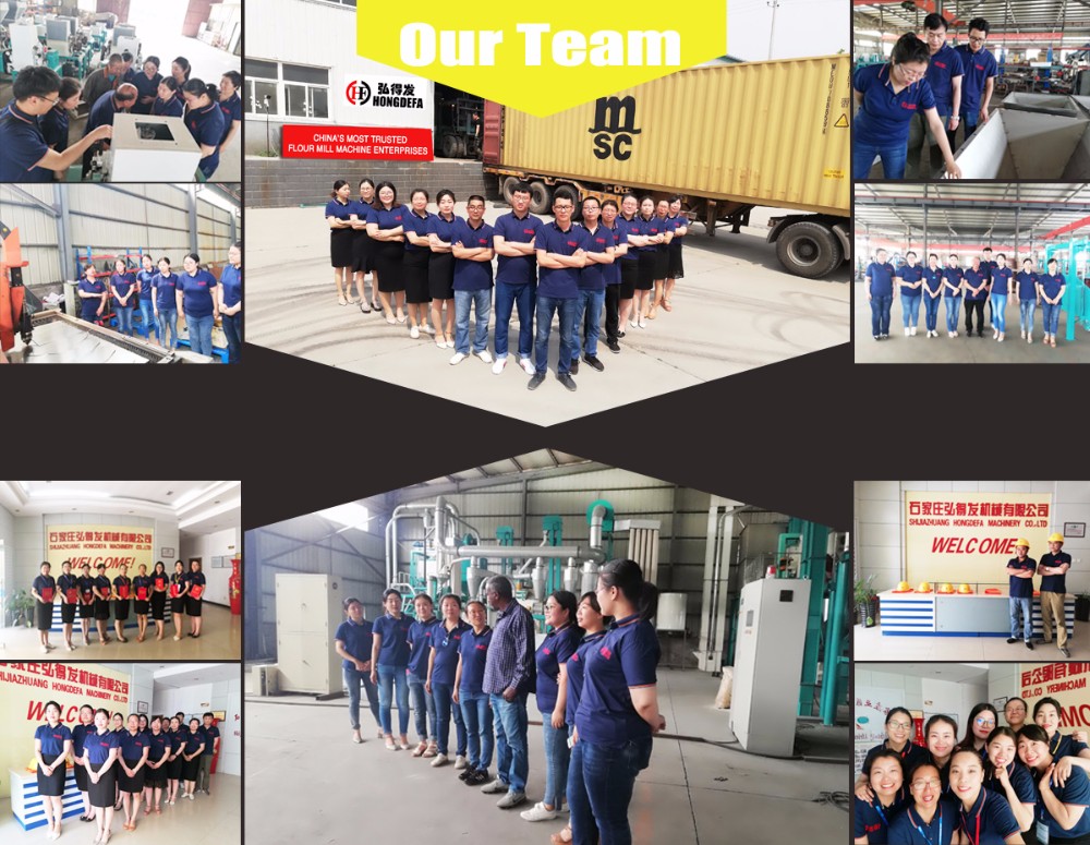 hongdefa factory team