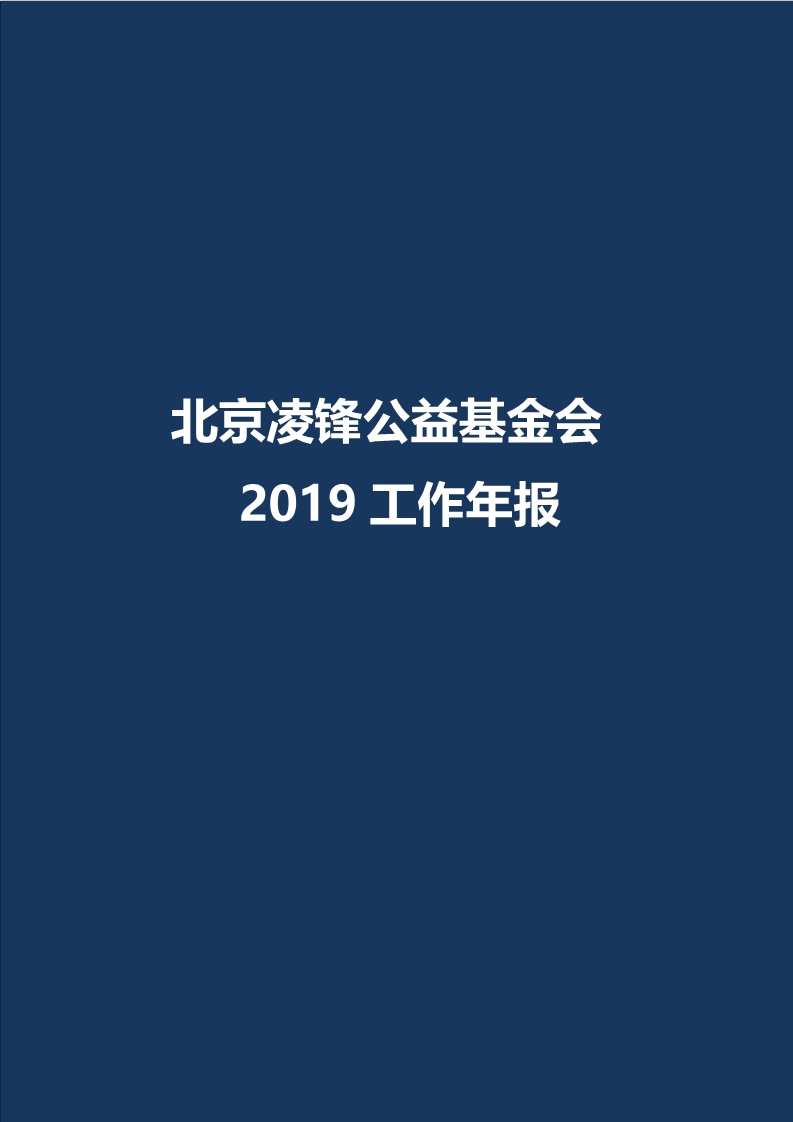 2019年报
