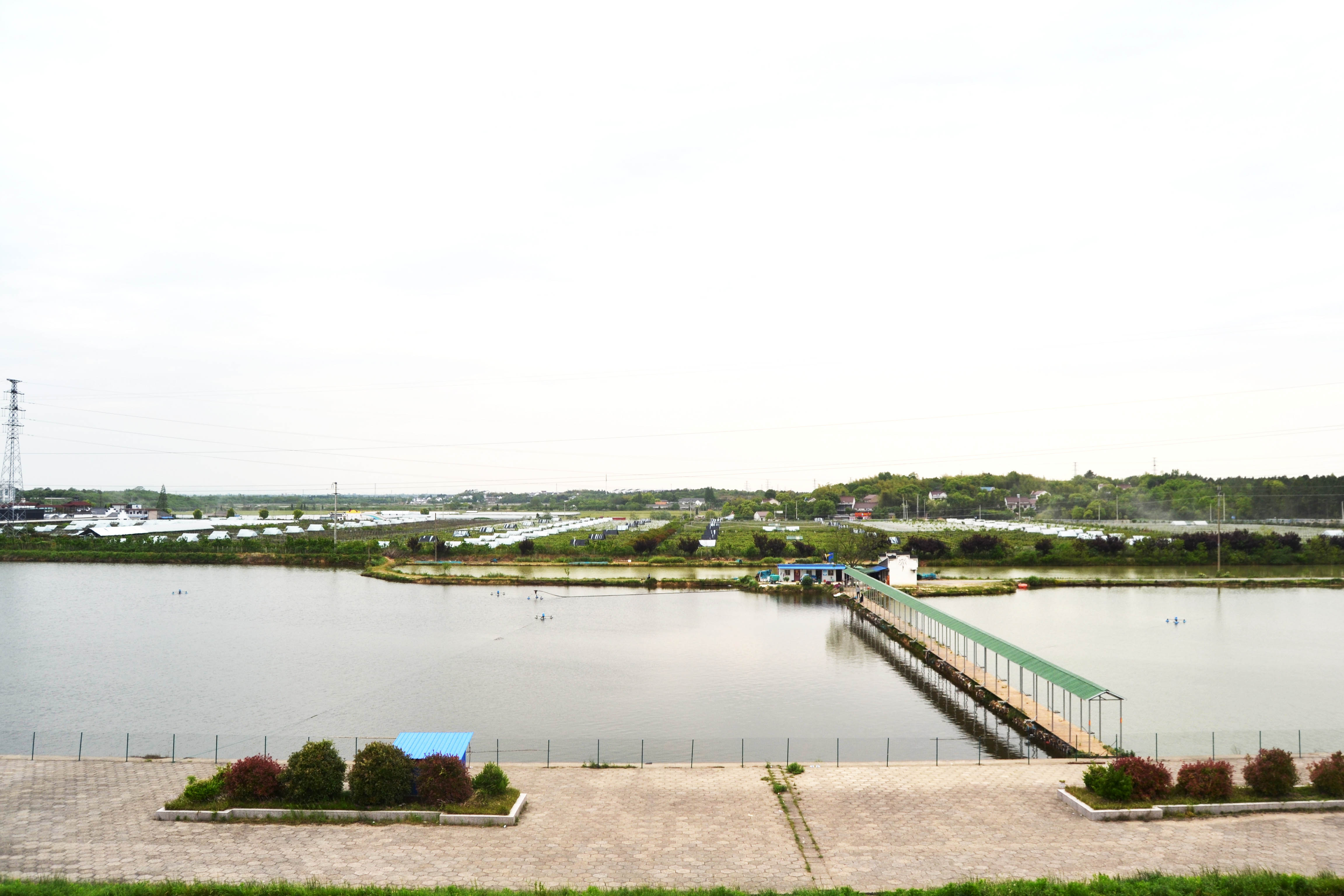垂钓环境-DSC_0060