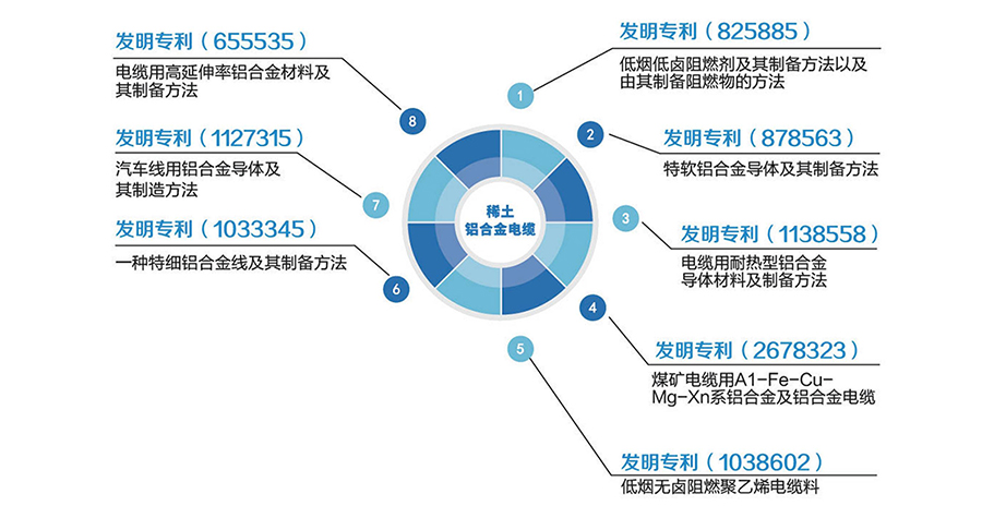 发明专利图1