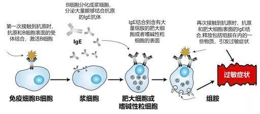 炎症的自述发生机理和结局