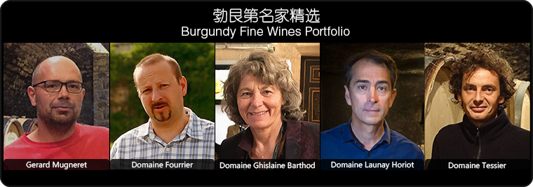 Burgundy Fine Wines Portfolio