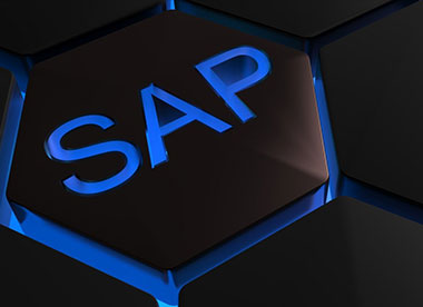 SENTAI uses the industry's most advanced SAP management system to control material information to ensure incoming data, photos, and Lot NO. and other important information is complete and reliable.