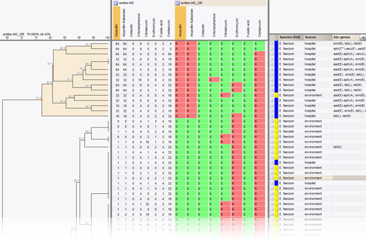 Dendrogram calculated on antibiotic resistance values