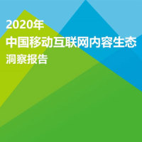报告-002