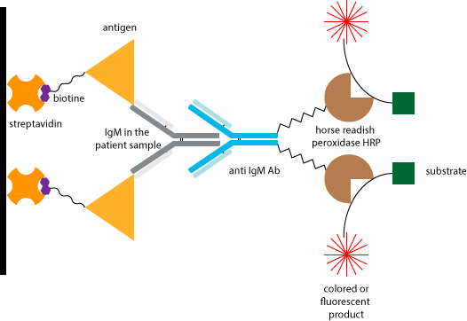 Orientation in plates