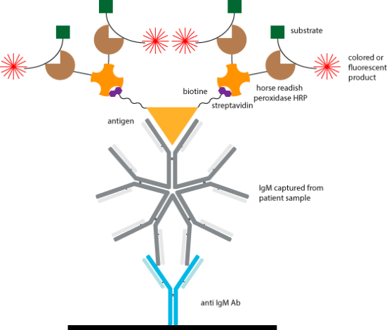 Capture assays