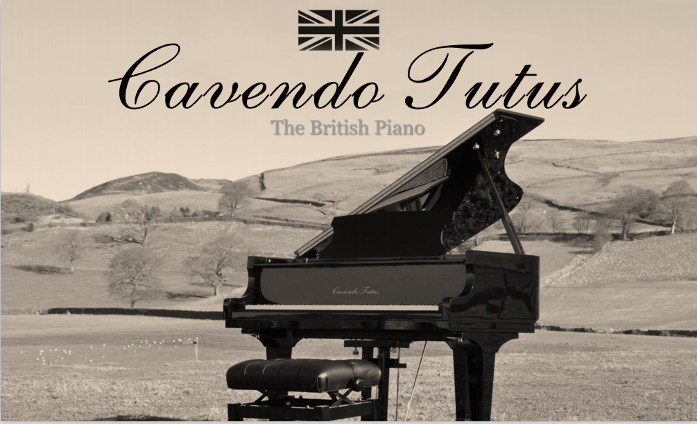 英国卡文迪钢琴 Cavendo Tutus