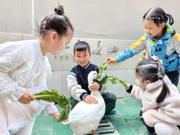 微信图片_20260311110817_200_14