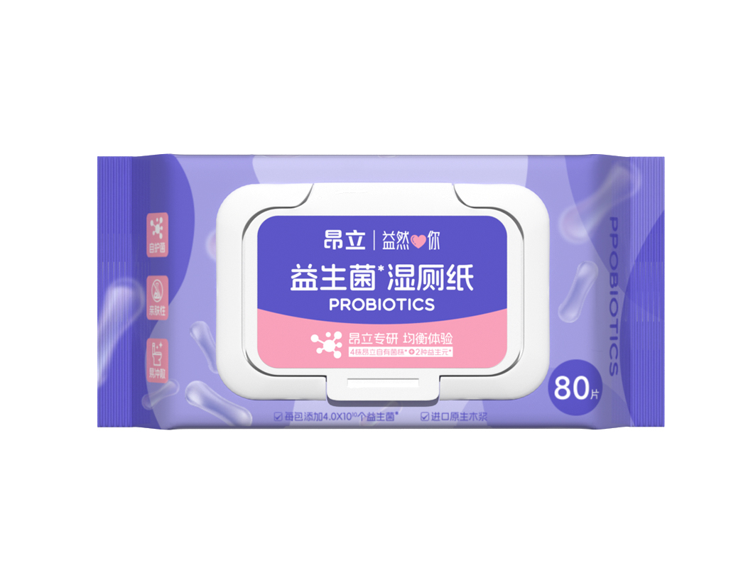 湿厕纸80片