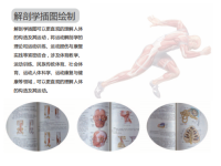 QQ图片20181012122400