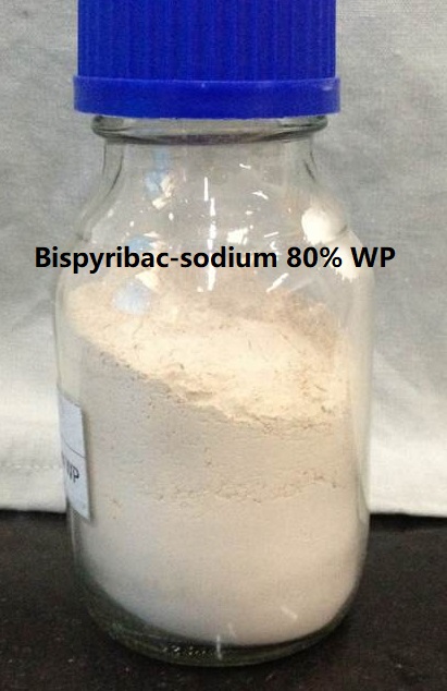 bispyribac-sodium80-WP