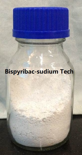 bispyribac-sodiumTC