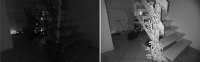 night-vision1