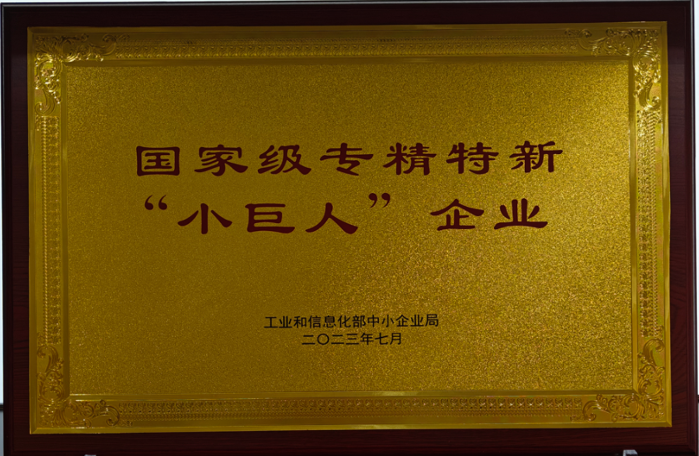 国家级专精特新“小巨人”企业