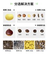 1200四視鏡板栗機(jī)2分選解決方案