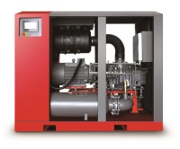 DS-2