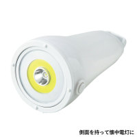 ZGE20250004