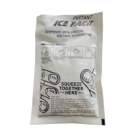ZGE202500017