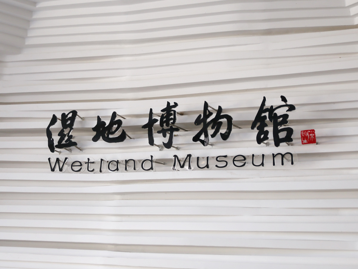 闽江湿地博物馆新馆里的环境展示设计