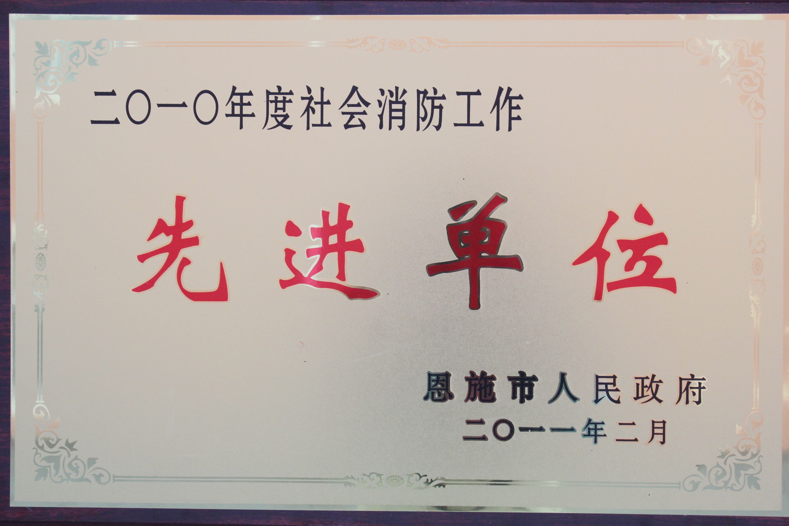 2010年度社会消防工作先进单位