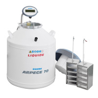 9、-ARPEGE液氮罐
