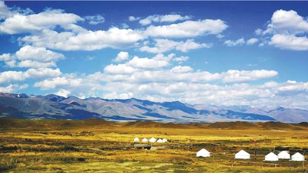 西山农牧场地处亚洲大陆地理中心腹地，是规划中的乌鲁木齐新的学术、商业中心圈。TWT提供了DN1000 调流阀、DN1000 偏心半球阀为代表的各类新型产品 180 台。