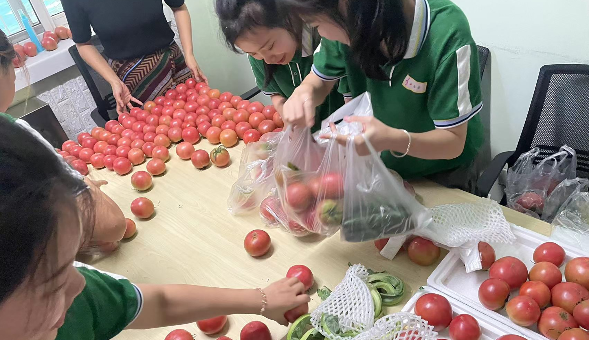 有机蔬菜、无公害蔬菜试供应食堂