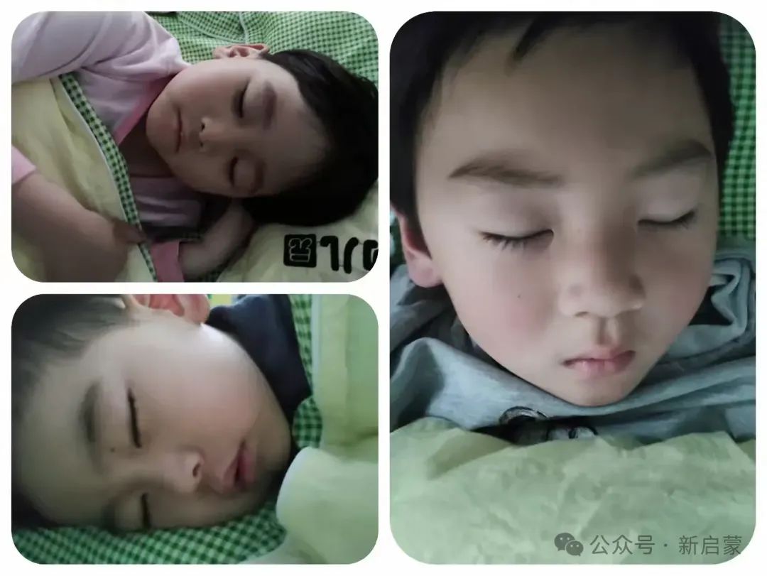 简篇-在爱和温暖中托启成长 新启蒙幼儿园 (托班)
