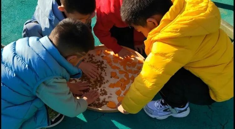 简篇-“晒”出秋意,“玩”出成长——新启蒙幼儿园晒秋主题活动