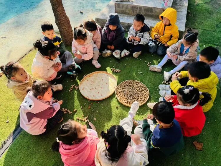 简篇-“晒”出秋意,“玩”出成长——新启蒙幼儿园晒秋主题活动