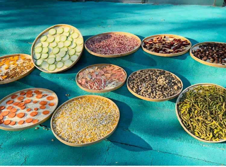 简篇-“晒”出秋意,“玩”出成长——新启蒙幼儿园晒秋主题活动