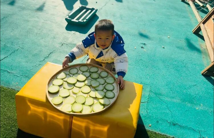 简篇-“晒”出秋意,“玩”出成长——新启蒙幼儿园晒秋主题活动