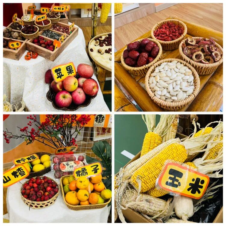 简篇-“晒”出秋意,“玩”出成长——新启蒙幼儿园晒秋主题活动