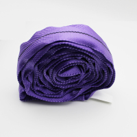 紫色圆形吊带-未标题-2