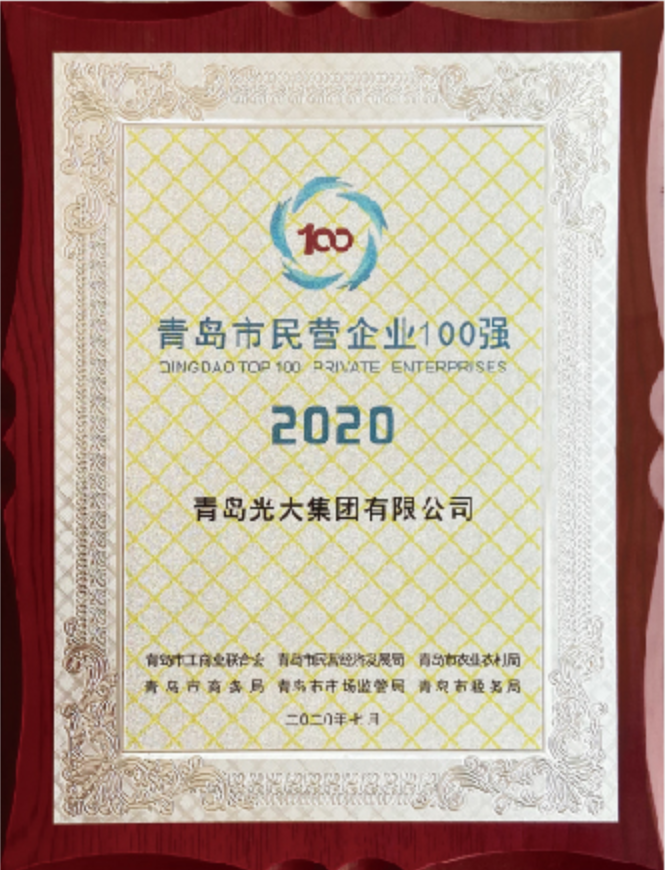 2020年青岛市民营企业100强