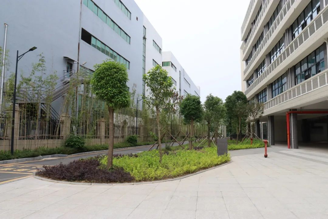 澳门新莆京在线登录