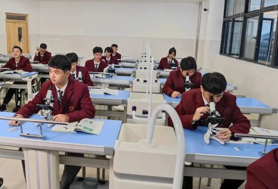 澳门新莆京在线登录