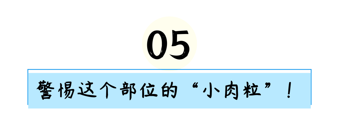 5_画板 1.png