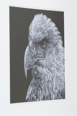\\10.114.0.5\照片档案\12-13第二学期\6月\2013-6-27版画作品-梁波拍摄\2013-6-27版画作品-梁波拍摄18.jpg