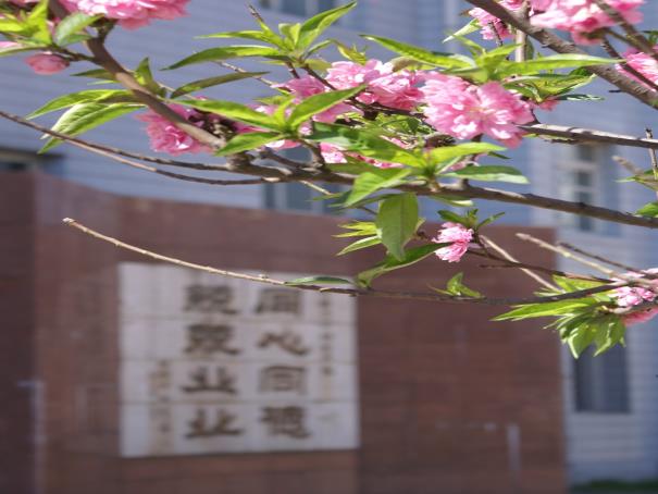\\10.114.0.5\照片档案\专题照片\其他\工会\2010春满校园-摄影作品\优秀作品\一等奖\李月华春的和谐DSC07967.JPG