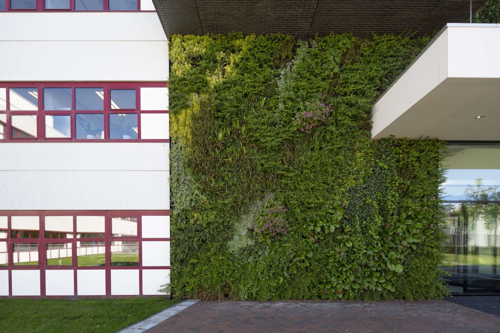 生态建筑绿墙