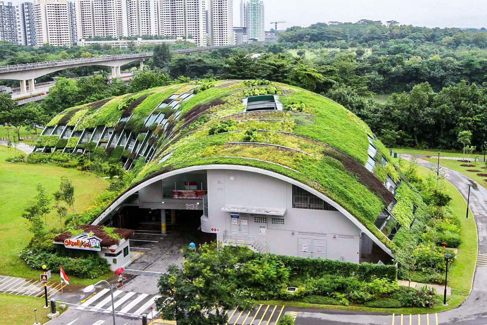屋顶坡型绿化