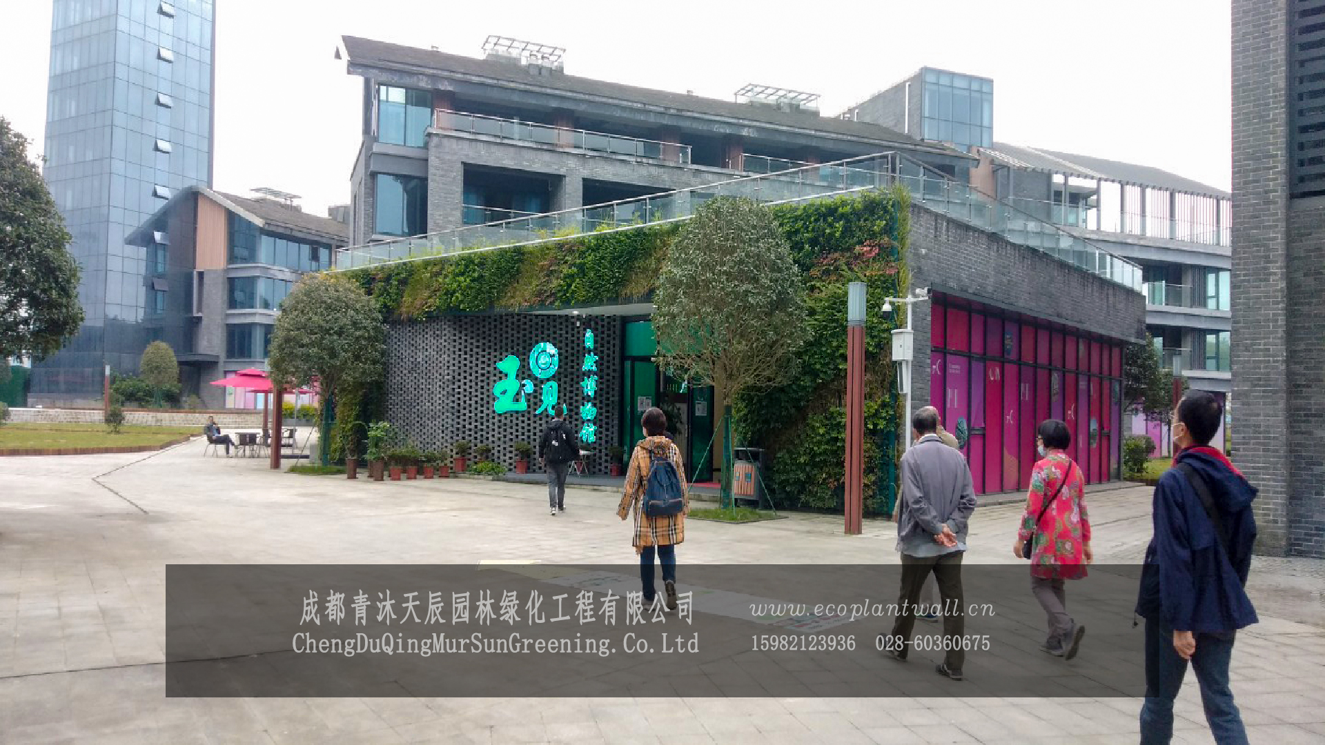 青城山.商业区生态植物墙