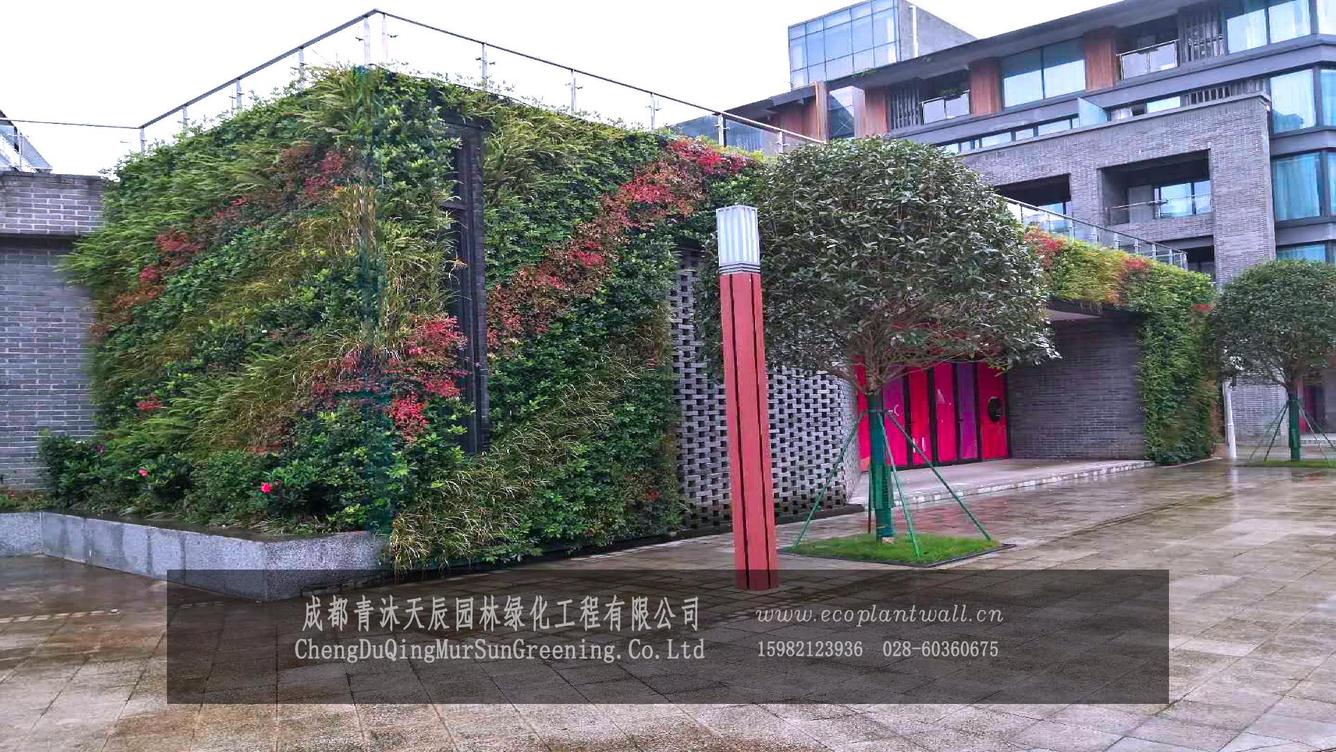 青城山.商业区生态植物墙
