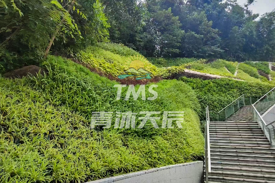 护坡绿植墙系列